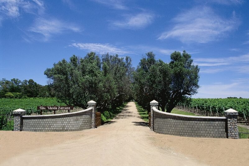 El Motero Bar una experiencia gastronómica única