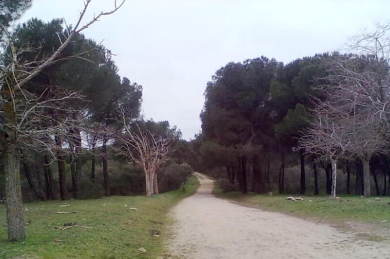 Guía completa para aparcar en el área de Valdelatas