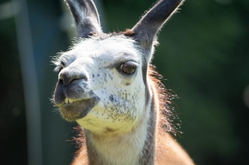 Descubre quién está llamando desde el número 621624517