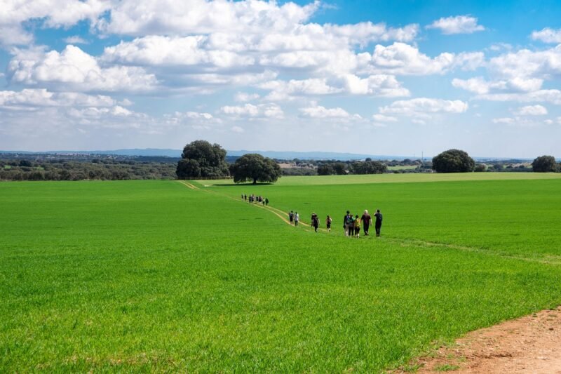 Agenda de eventos en Madrid norte actualizada