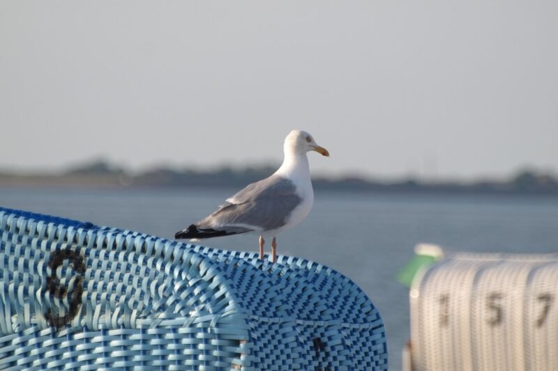 Cómo vivir en Madrid norte hoy