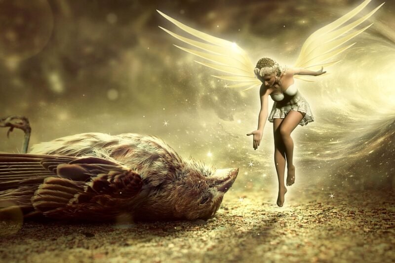 La transformación urbana en Avenida de Pedro Díez 21