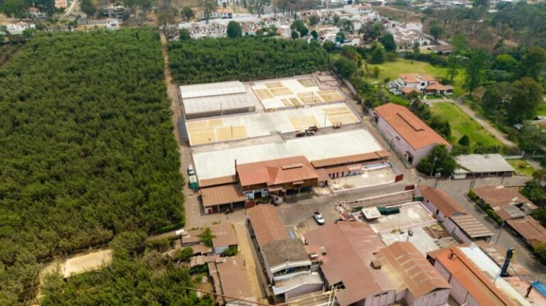 paracuellos-potencia-sus-zonas-comerciales