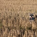 quejas-en-sanse-por-botellas-y-orines-de-perro